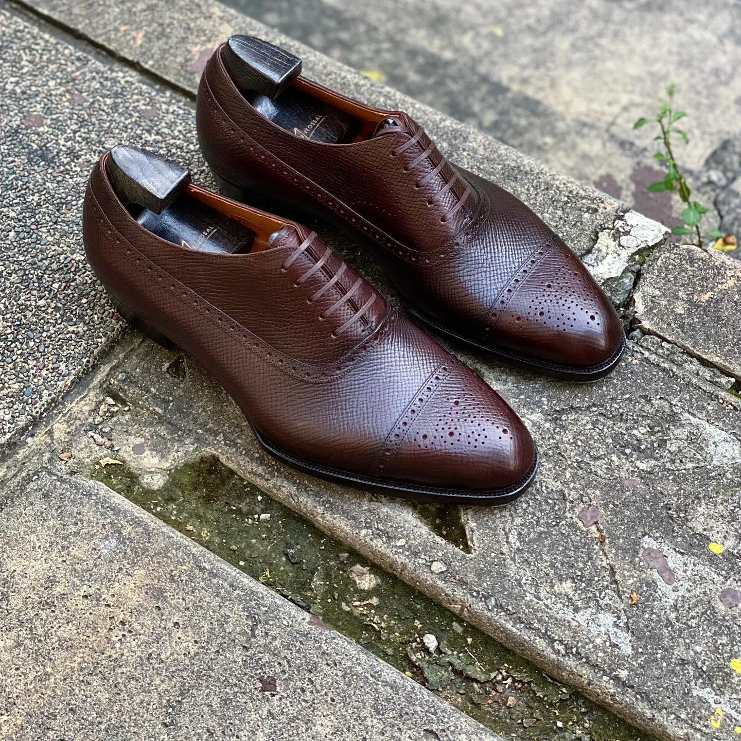 Brown Milled Grain Leather Treviso Brogue Toe Cap Oxford Shoes - AW24
